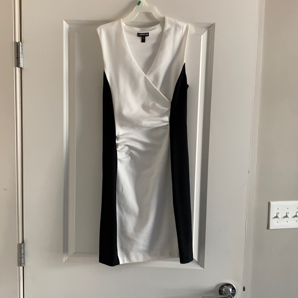 Professional Dress